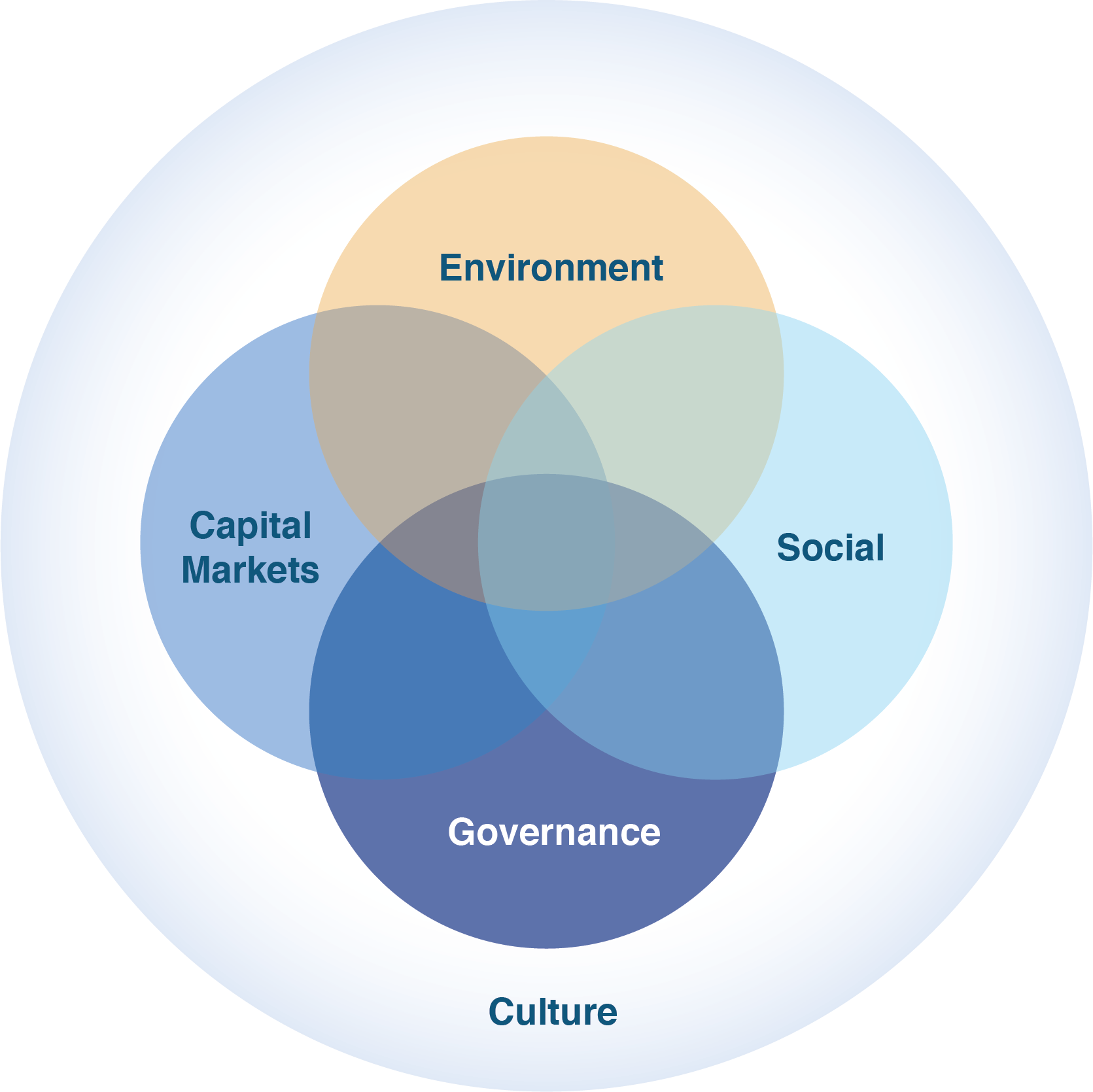 Venn Diagram of Culture - Environment, Capital Markets, Social, and Governance